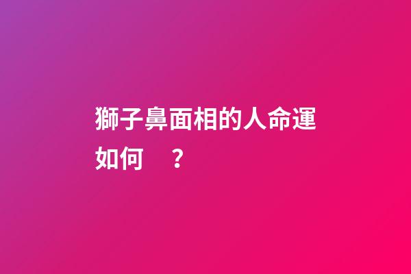 獅子鼻面相的人命運如何？